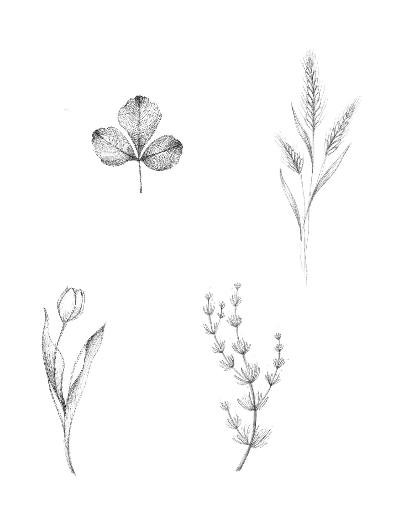 flowers tattoo