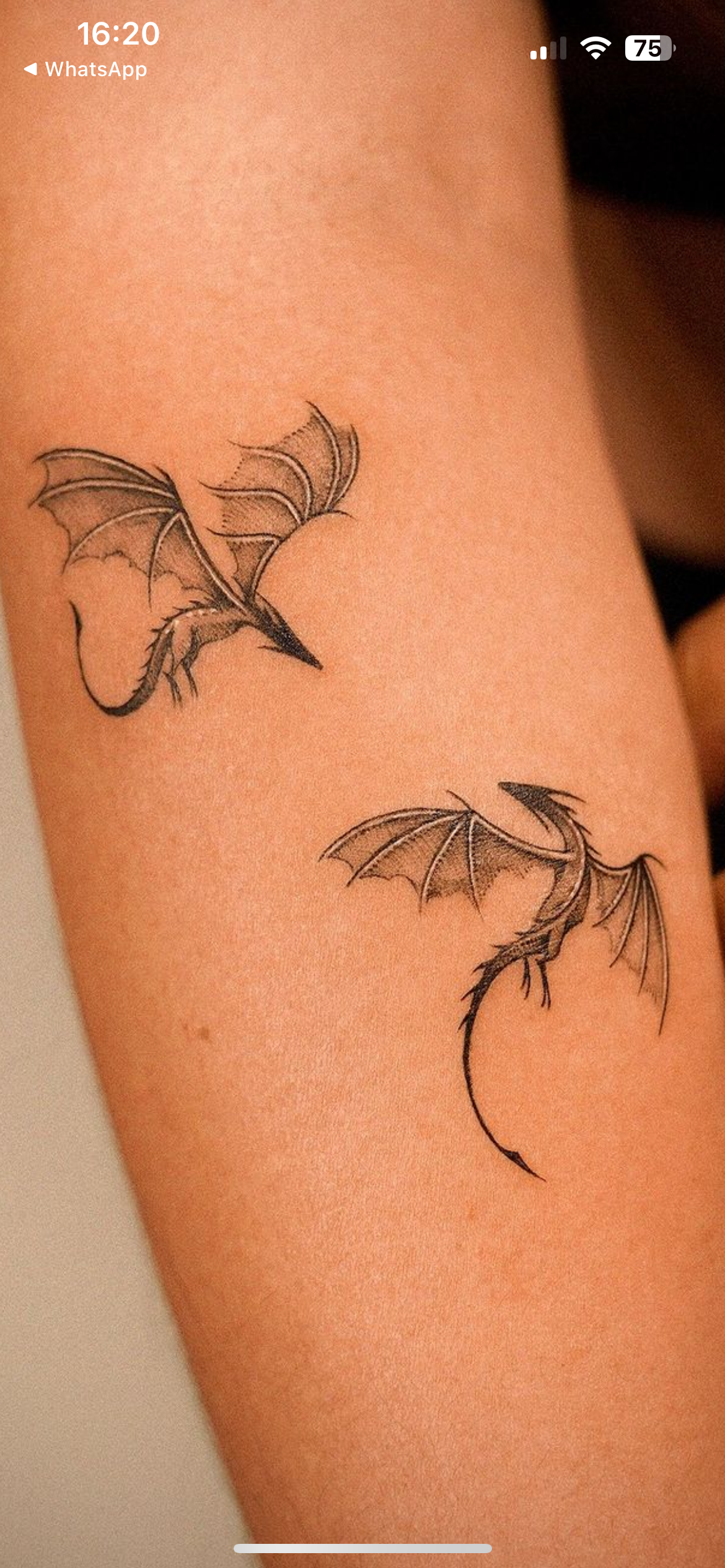 Dragon Tattoos ideas