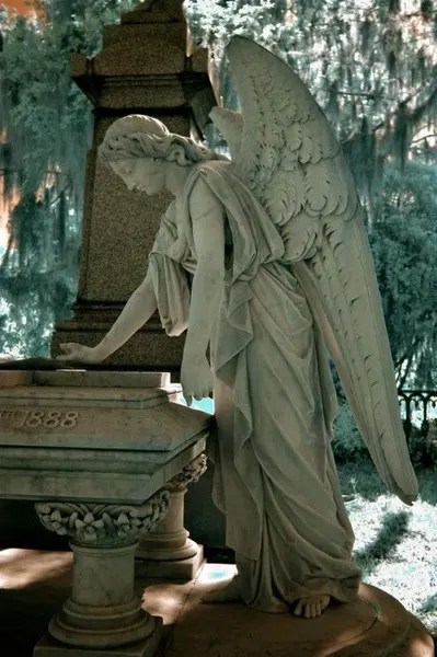 koyoliew / angel tattoos