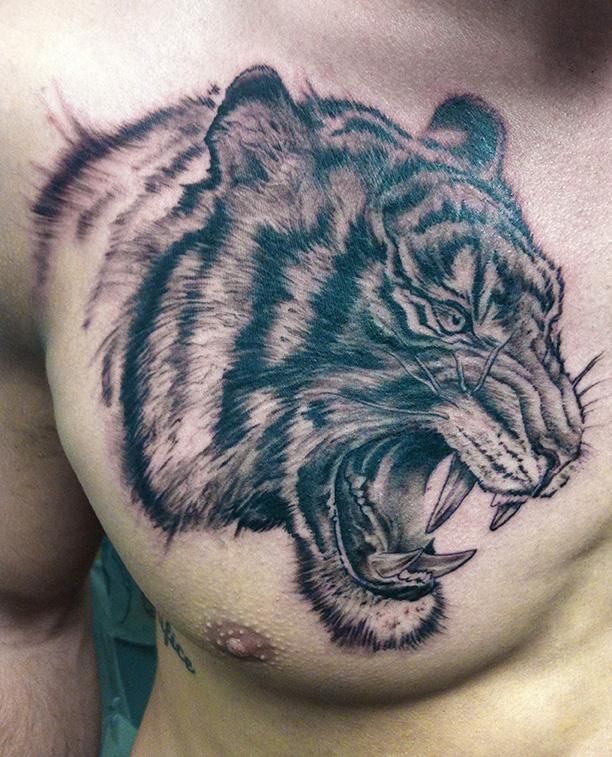 Tiger