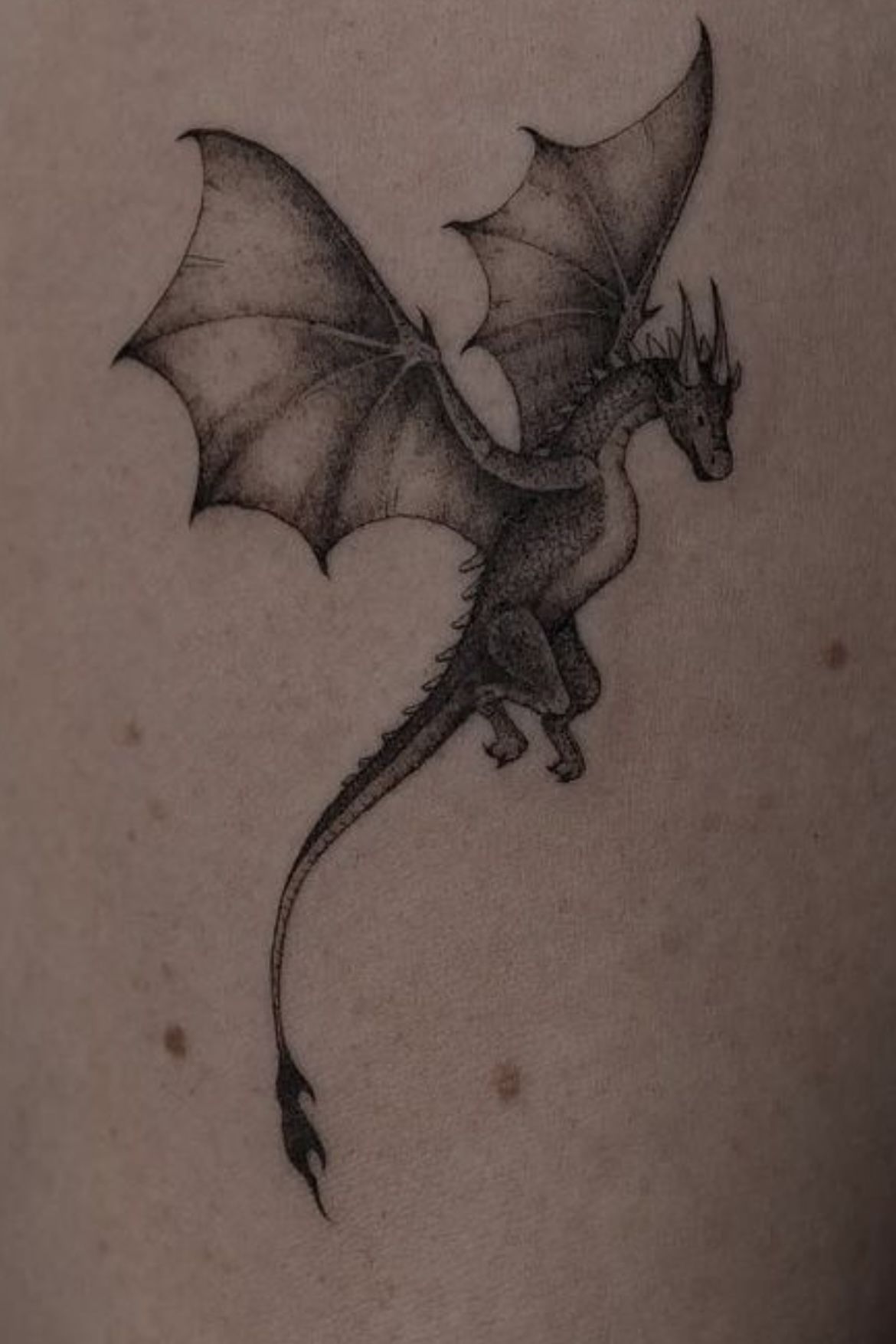 Dragon Tattoos ideas