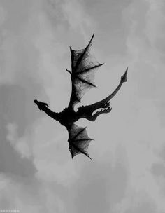 Dragon Tattoos ideas