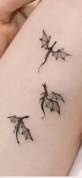 Dragon, 박쥐