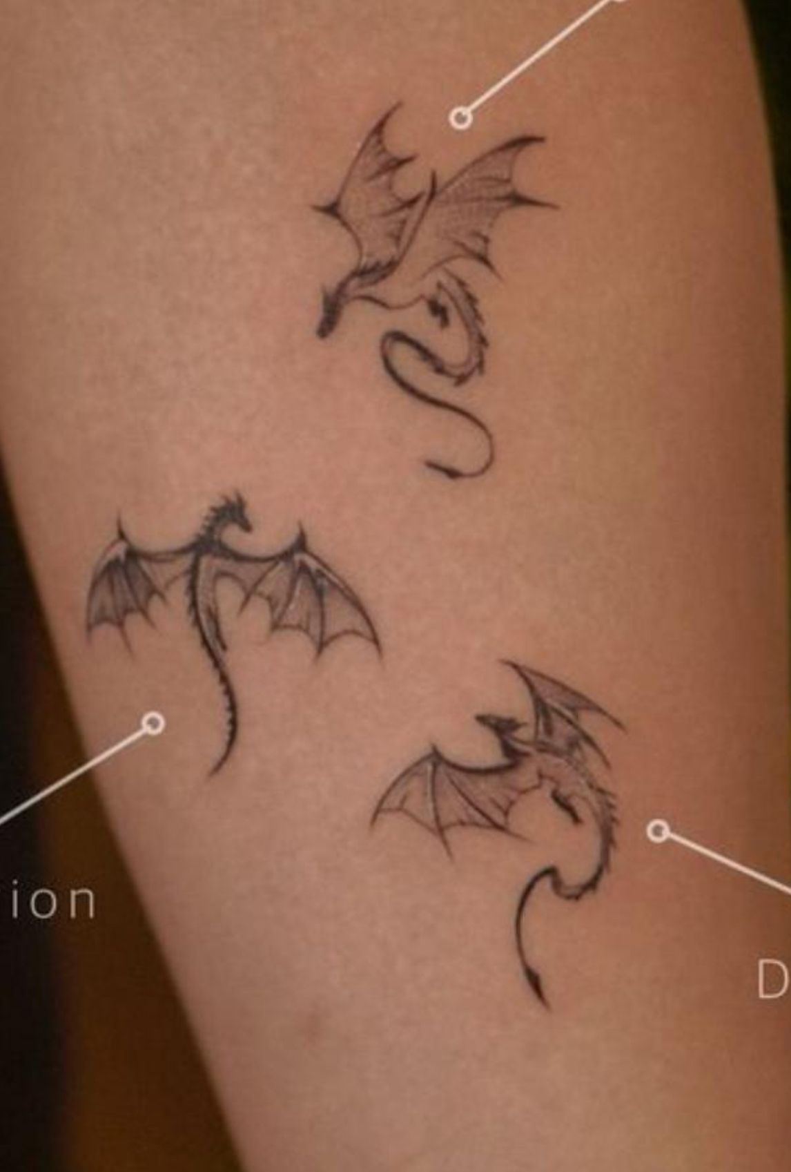 Dragon Tattoos ideas