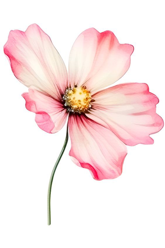 flowers tattoo