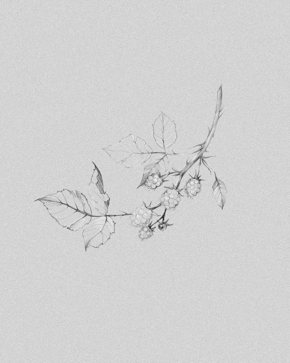 flowers tattoo