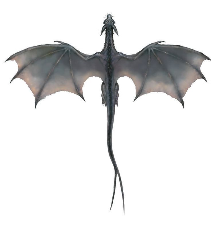 Dragon Tattoos ideas