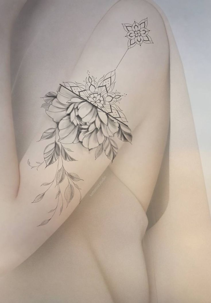 Flower, Rose
