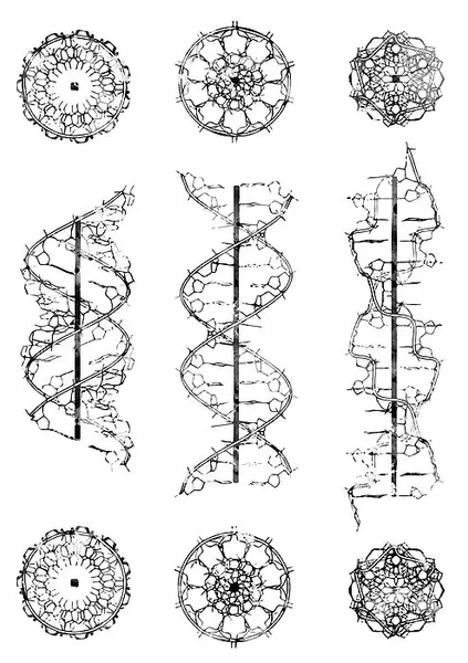 Pattern