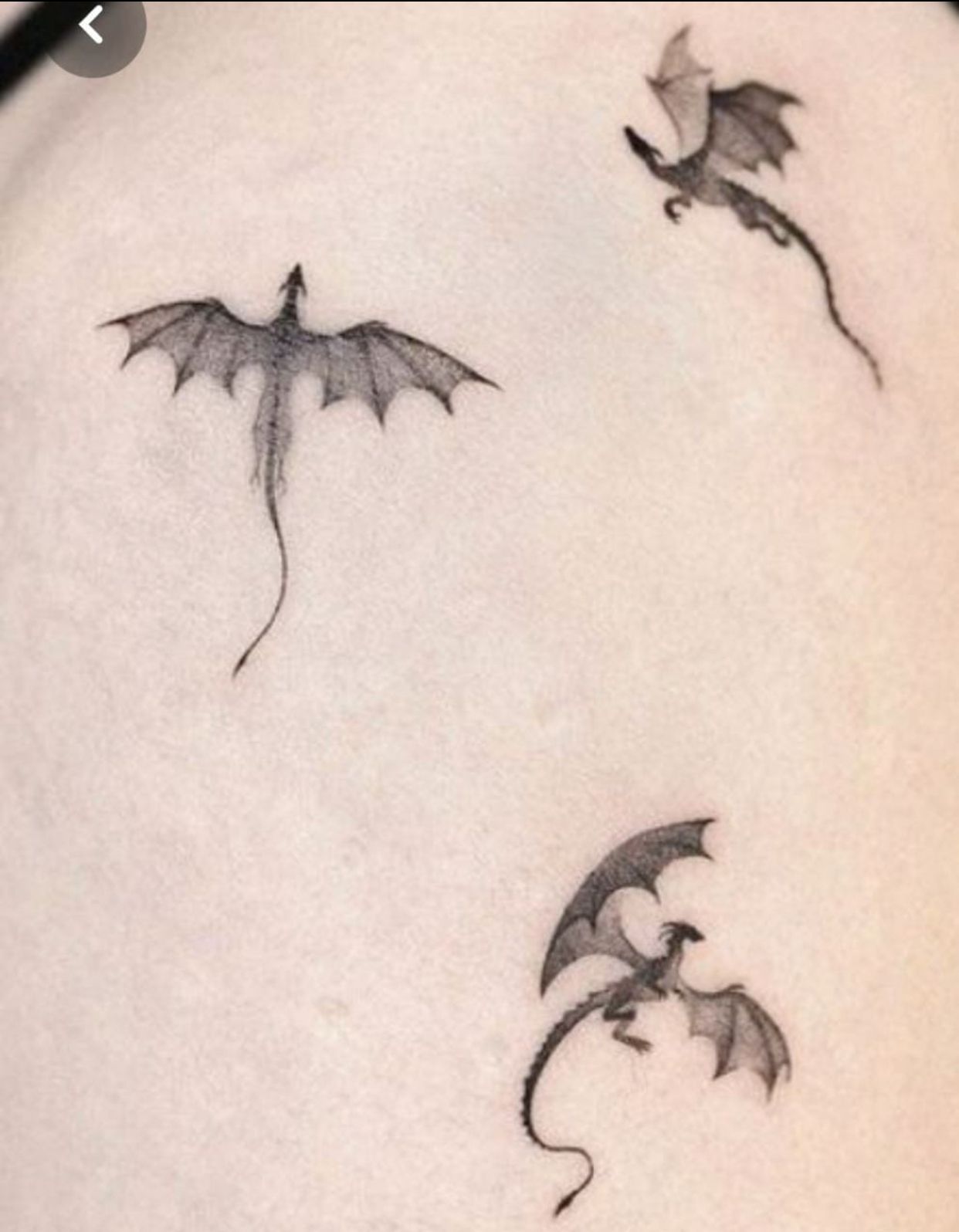Dragon Tattoos ideas