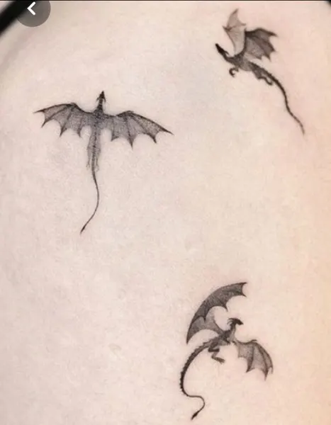 박쥐, Dragon